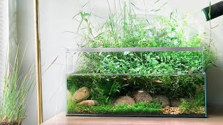 Aquascaping Tutorial  Creating a Pond Tank from Scratch [upl. by Neelyk427]