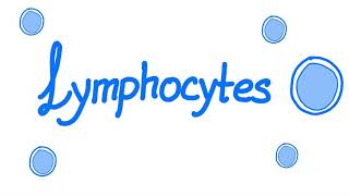 Lymphocytes  Your Specialized Immunity  White Blood Cells [upl. by Silvester596]