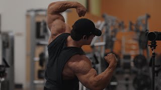 IFBB Pro Arm Workout [upl. by Burt]