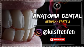 Anatomia Dental RESUMO  Parte 2 [upl. by Lecia]