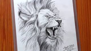 Drawing a Lion  Easy pencil sketch [upl. by Elston172]