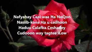 MAXAMAD BK NOOLASHA CUSUB SOO DHAWEE LYRICE HD 2014 [upl. by Whit233]