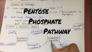 Pentose Phosphate Pathway Hexose Monophosphate Shunt explained in detail [upl. by Canter]