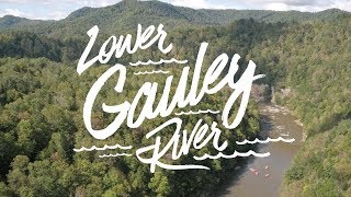 Lower Gauley River Whitewater Rafting [upl. by Carma]