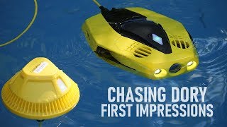 Budget Underwater Drone  Chasing Dory ROV  First Impressions  DansTubeTV [upl. by Dnalyr]