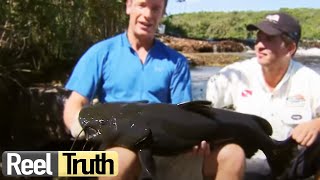 Robsons Extreme Fishing Challenge  Brazil  S01 E01  Reel Truth Documentaries [upl. by Esened]