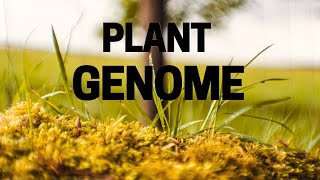 Plant Genome Explained Plant Biotechnology [upl. by Vareck]