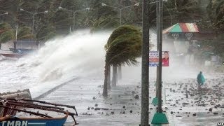 TYPHOON HAIYAN BATTERS THE PHILIPPINES  BBC NEWS [upl. by Bryna866]