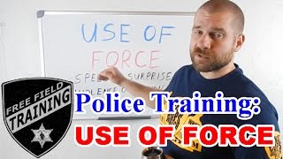 Police Training USE OF FORCE [upl. by Enymzaj]