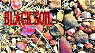 THERES AGATES EVERYWHERE  Black Soil Area  Liz Kreate [upl. by Dnalkrik878]