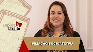 Explica Direito Filiação Socioafetiva  2019 [upl. by Eirok]