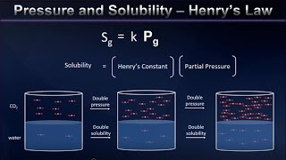 Henrys Law and Gas Solubility Explained [upl. by Ramhaj]