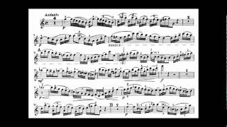 Bach JS violin concerto in A minor BWV 1041 [upl. by Blackstock]