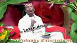 Fandishe Manzuma Afaan Oromo [upl. by Eelsnia23]