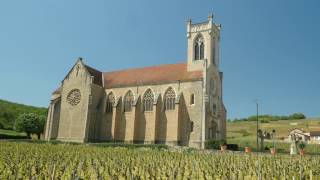 The Wines of Burgundy [upl. by Enilrae84]