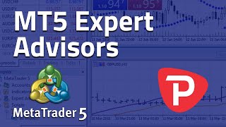 How to use Expert Advisor MetaTrader 5 [upl. by Suiluj416]