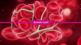 Coagulation Cascade Explained [upl. by Nickey]