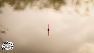 Pole Fishing for CARP  OnTheHook Fishing [upl. by Sekoorb]