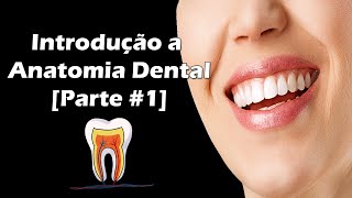 Introdução à Anatomia Dental  Faces e Divisão Anatômica dos Dentes  Parte 1 [upl. by Laerol]