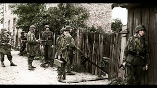 Operation Blücher The Last German Attack in France April 1945 [upl. by Noterb653]