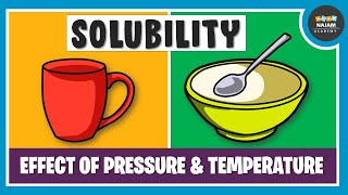 What is Solubility Chemistry [upl. by Nagard]