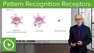 Pattern Recognition Receptors PRRs – Immunology  Lecturio [upl. by Esaj]