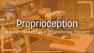 Proprioception  Sensory Processing amp Pediatric Occupational Therapy [upl. by Aisiram]