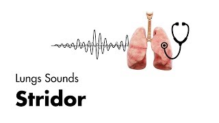 Stridor  Lung Sounds  MEDZCOOL [upl. by Rednaxela]