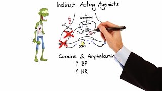 Pharmacology  ADRENERGIC RECEPTORS amp AGONISTS MADE EASY [upl. by Karoline]