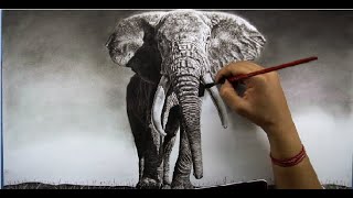 The Elephant  realistic Charcoal Drawing [upl. by Adyeren991]