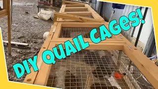 Quail farming  Homemade quail cages [upl. by Aryamo]