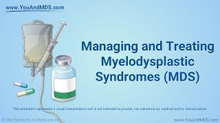 Understanding Myelodysplastic Syndromes MDS [upl. by Einwat]