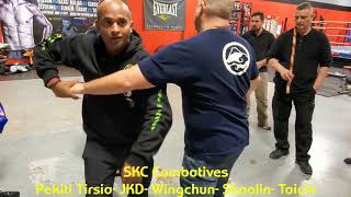 Shifu Kanishka Combatives hand to hand combat [upl. by Scheers]