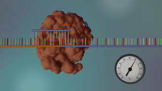 DNA Sequencing  3D [upl. by Kahcztiy]