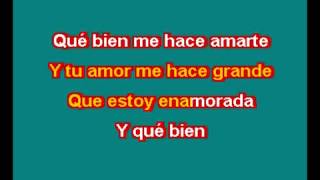 THALIA ESTOY ENAMORADO KARAOKE [upl. by Vivian]