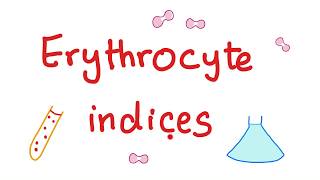 Erythrocyte indices — Hemoglobin Hematocrit MCV MCH amp MCHC — What Do These Lab Tests Mean [upl. by Garris912]