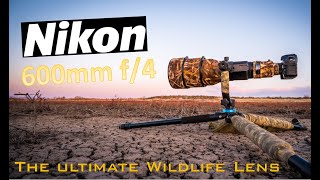 Nikon lenses Review Nikon 600mm F4 The best lens for wildlife photography [upl. by Griggs]