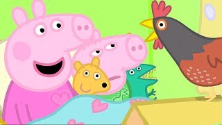 Peppa Pig Meets Granny Pigs Chickens  Peppa Pig Official Family Kids Cartoon [upl. by Ades380]