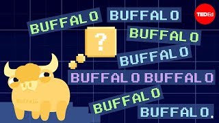 Buffalo buffalo buffalo Oneword sentences and how they work  Emma Bryce [upl. by Sachsse]