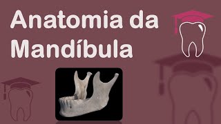 Anatomia da Mandíbula [upl. by Obelia]