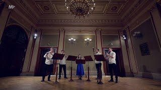 Belfiato Quintet – M Ravel Ma Mère l’Oye [upl. by Siobhan]