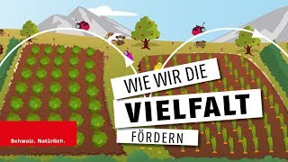 Biodiversität  Wie wir die Vielfalt fördern [upl. by Sherurd]