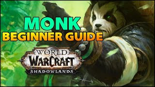 Monk Beginner Guide  Overview amp Builds for ALL Specs WoW Shadowlands [upl. by Magocsi182]