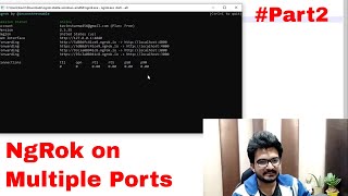 How to Run Ngrok on Multiple Ports in single systempc for free  Part2 [upl. by Pulcheria959]