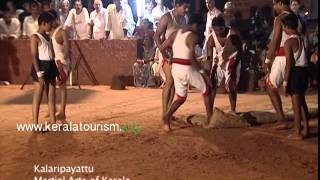 Martial Arts Performance  Kalaripayattu [upl. by Chantalle]