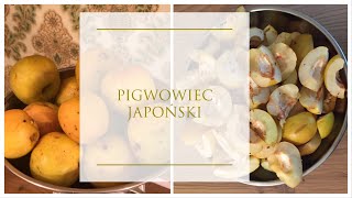 NALEWKA Z GÓRNEJ PÓŁKI z pigwowca japońskiego [upl. by Omidyar]