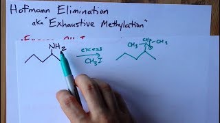 Hofmann Elimination Amine to Alkene aka Exhaustive Methylation [upl. by Ardnuaet]