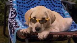 Marley and Me The Puppy Years Official Trailer [upl. by Dleifrag717]