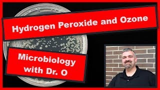 Hydrogen Peroxide and Peroxygens Microbiology [upl. by Arytas]