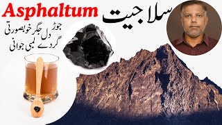 Shilajit Asphaltum سلاجیت  By Dr Fahim [upl. by Boniface]